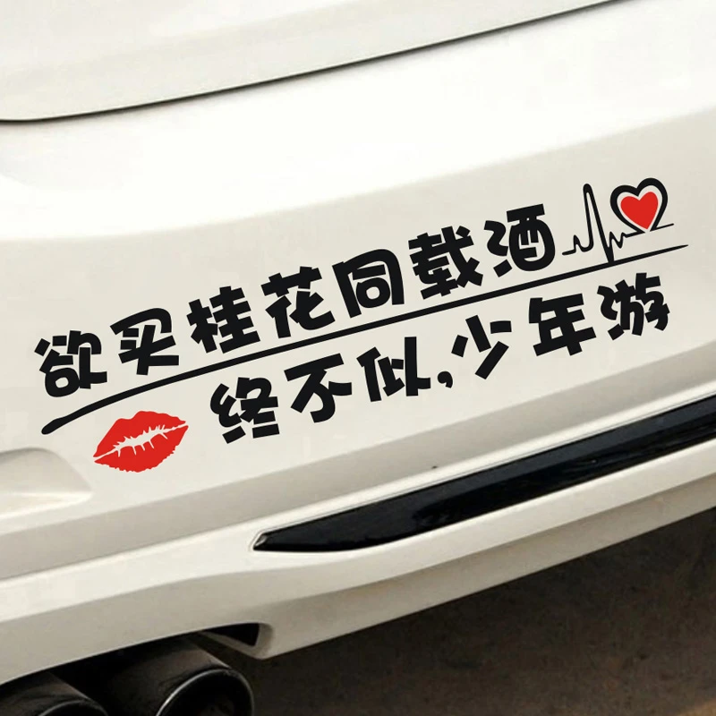 欲买桂花同载酒终不似少年游车贴网红新款做着同样的事心境却不同