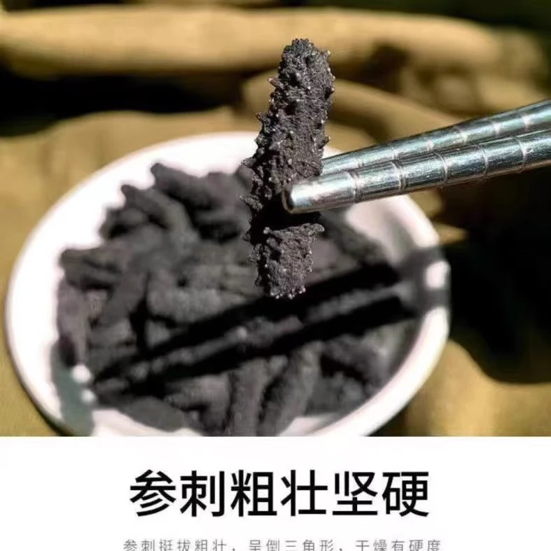 【3根海参】大连小海参干货辽参刺参 1-3厘米/只 600-800头/斤