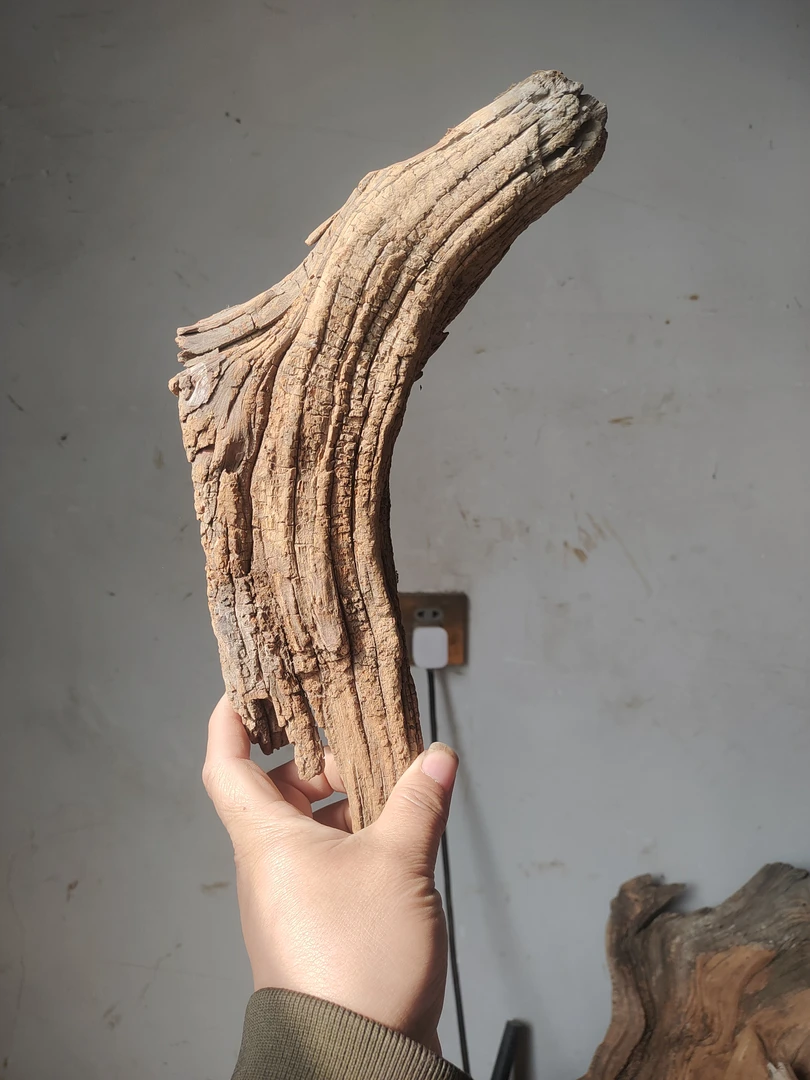 太行崖柏练手小把件料