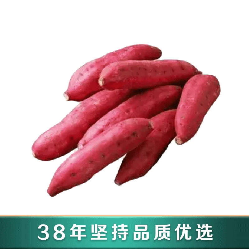 52良作蜜薯 香甜好吃 净重5斤 呼市同城闪送到家