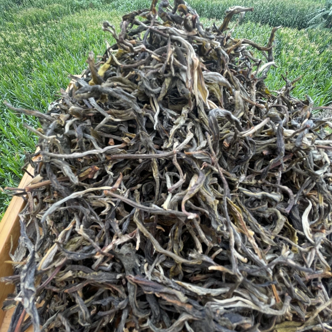 2023年大叶种普洱生茶-薄荷糖二类茶散料-500克
