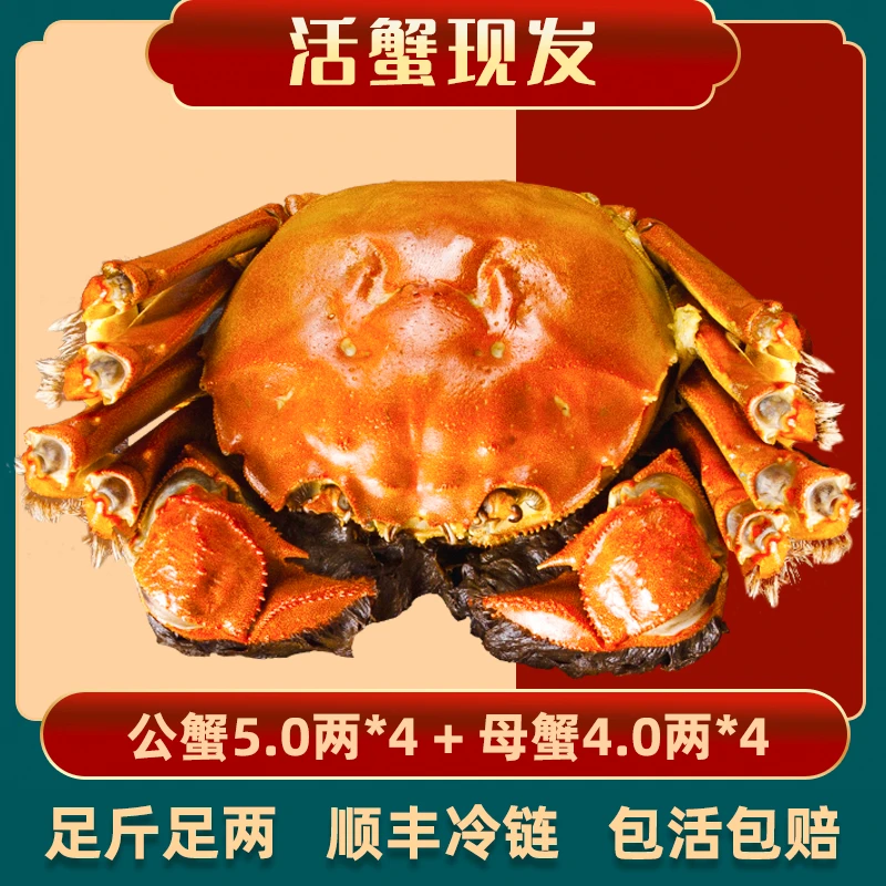 【活蟹】公蟹5两4只+母蟹4两4只 阳澄股份 精品大闸蟹 礼盒装
