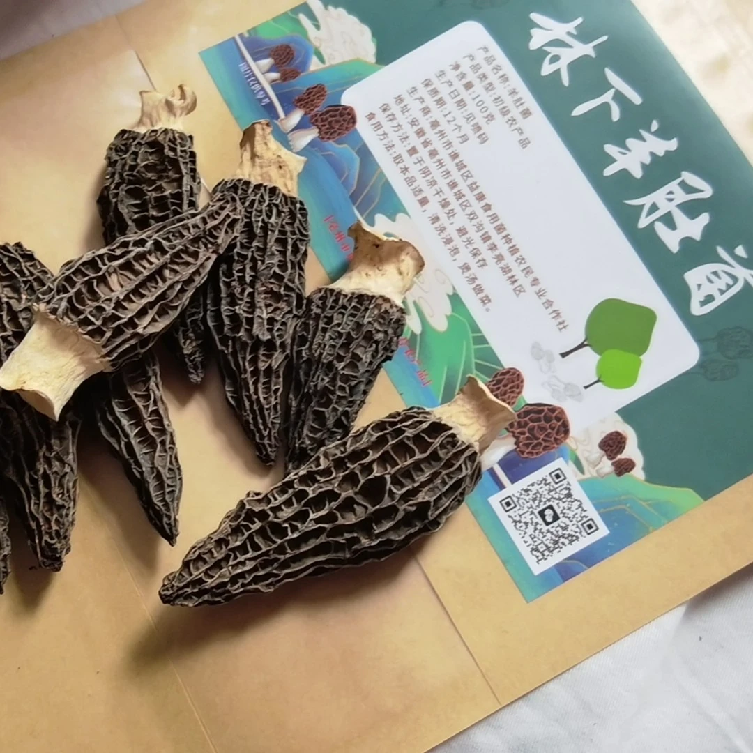 干羊肚菌（个头7—9厘米）