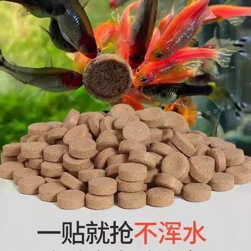 贴片鱼食小型鱼饲料孔雀鱼鱼粮灯鱼斗鱼金鱼热带鱼通用开口丰年虾