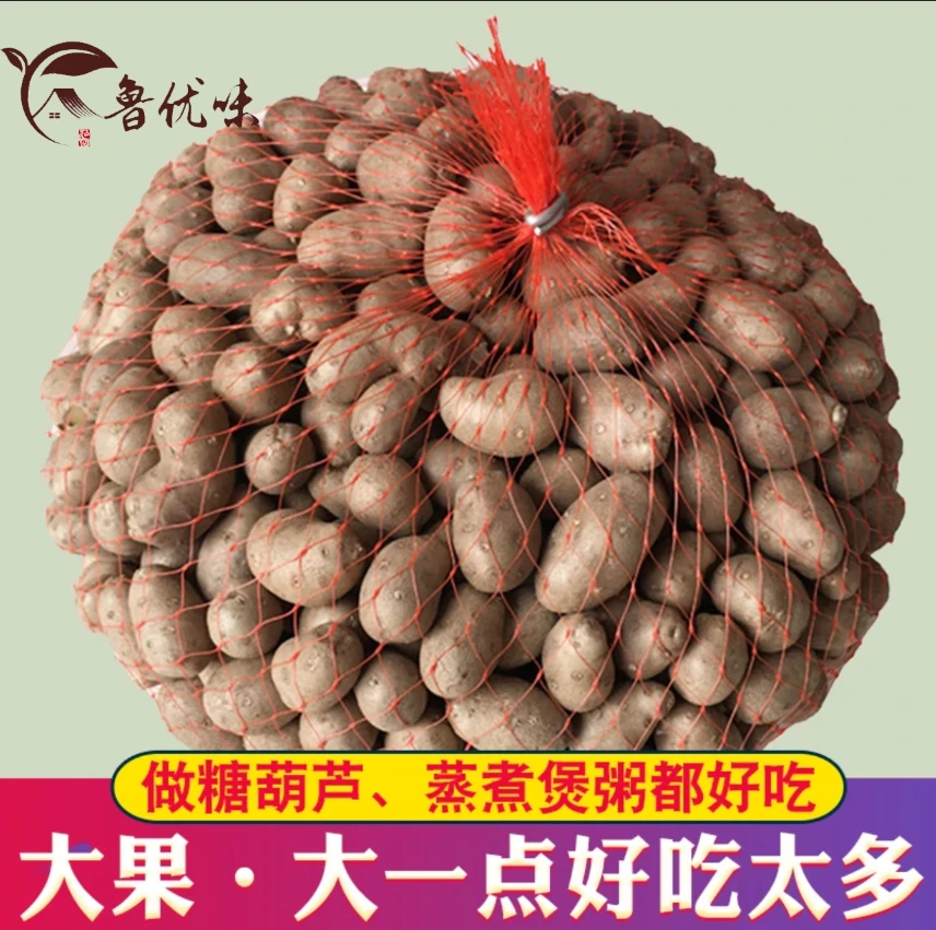 【新鲜农家】垆土铁棍山药豆3斤淮山药豆山药蛋饱满香糯宝宝辅食1斤