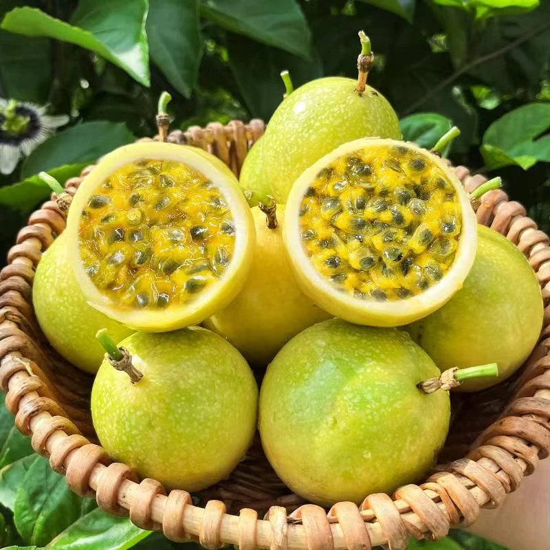 苗家永顺广西钦蜜九号黄金百香果纯甜无酸高山农家种特级新鲜水果