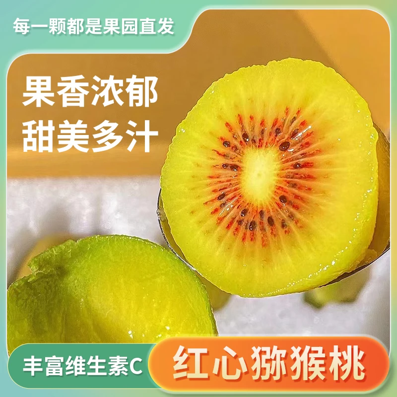 浔味隅南--红心猕猴桃 果香 营养香甜果园发货包赔