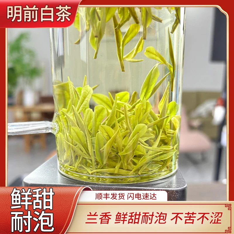 【A11兰香嫩芽】安吉2024年白茶春茶本地兰香芽头肥壮送礼S茶福利7