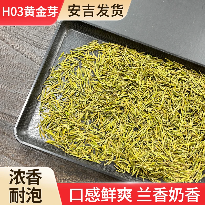 【H03黄金芽】2024新茶安吉板栗香浓香黄金芽叶鹅黄全小芽白茶原产