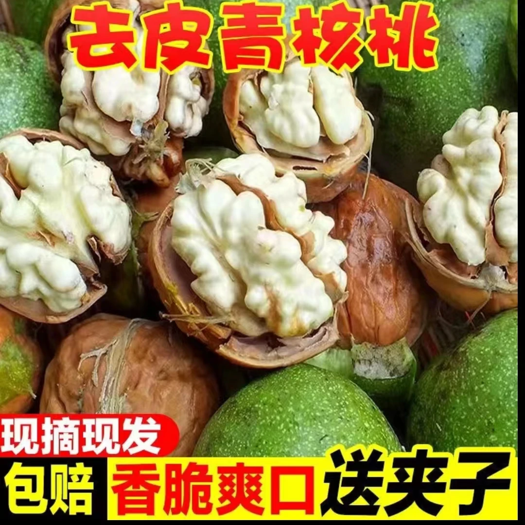 【新鲜湿核桃/去青皮】嫩核桃/鲜核桃净重现货！