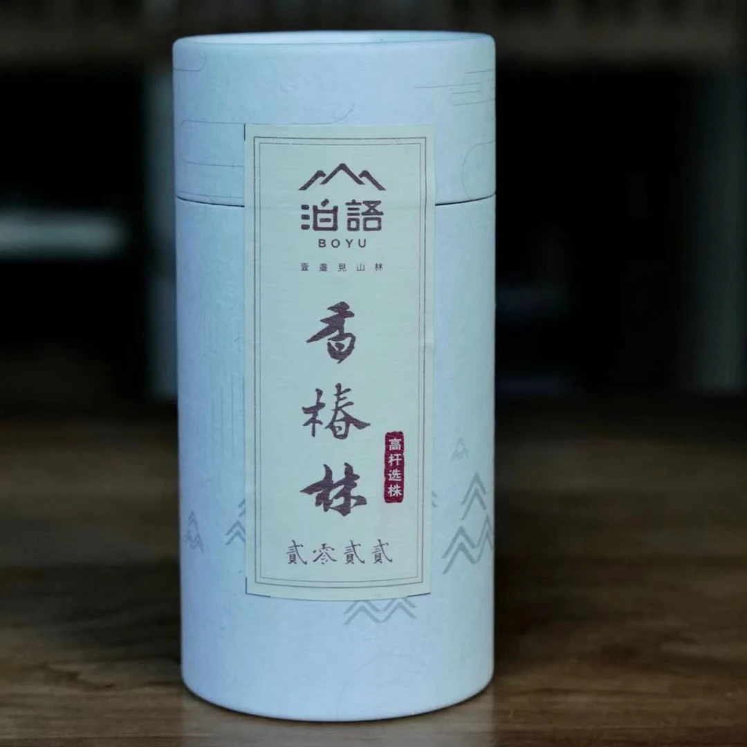 2022年【香椿林】古树纯料春茶普洱生茶龙珠100g