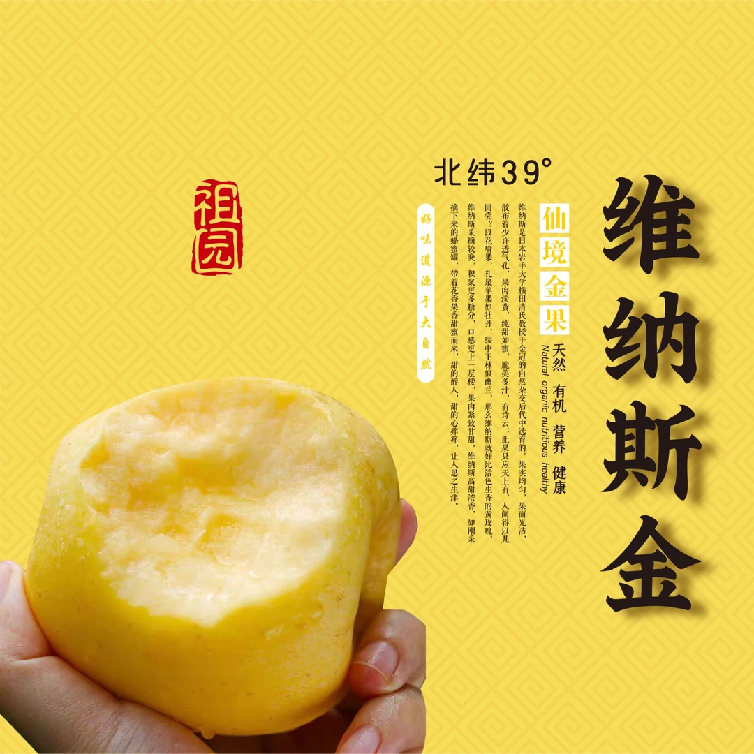 大连黄金维纳斯苹果黄金果肉皮薄脆甜多汁包邮