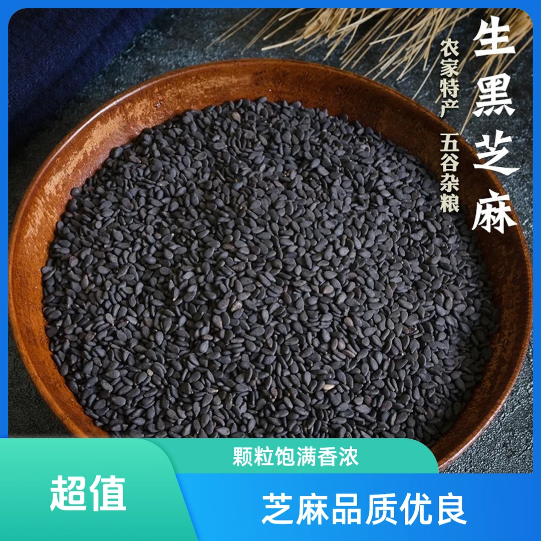 【芝麻】湖南农家种植芝麻 颗粒饱满