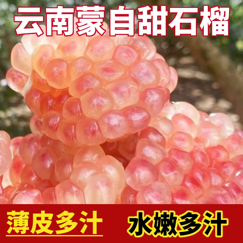 【正宗蒙自石榴】云南薄皮甜石榴新鲜现摘应季孕妇水果整箱特大果