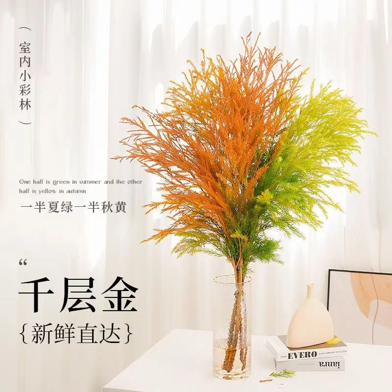 【千层金】黄金香柳鲜切花室内客厅高级小众花材长期可做干花