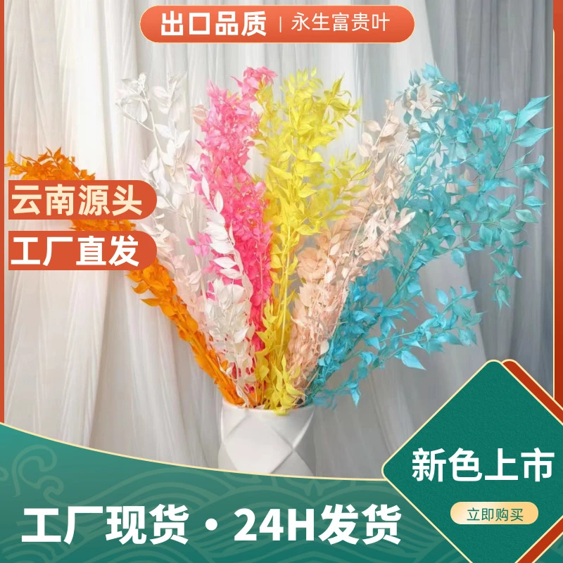 【花落谁家】富贵叶干花花束永生花家居装饰艺术品摆件云南工厂批发