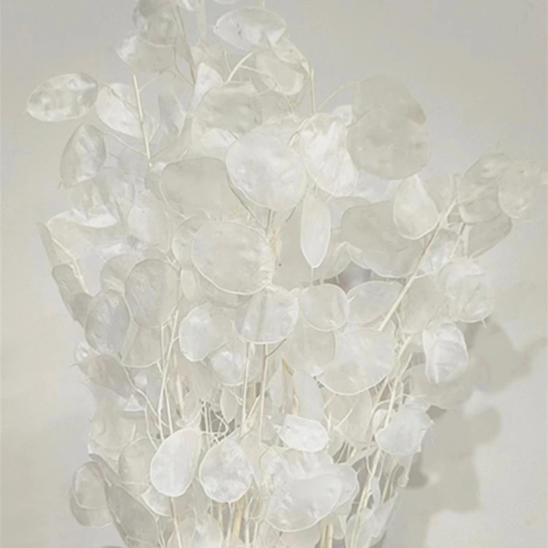 云南干花厂家直销婚庆大堂花艺户外庆典居家装饰婚礼引路白色银扇