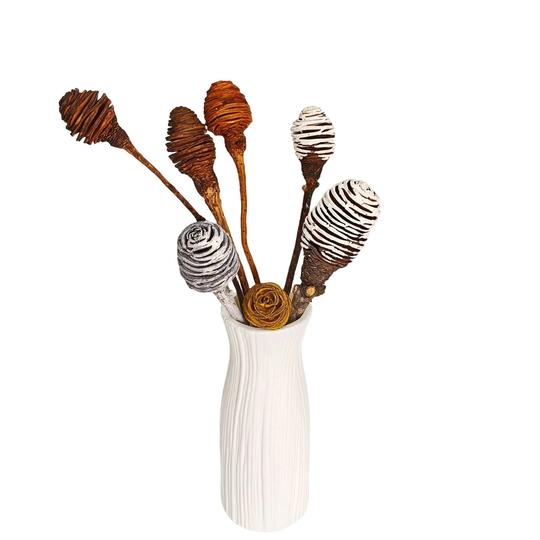 【花落谁家】螺旋果厂家批发干花居家装饰花拍摄道具插花花材松果