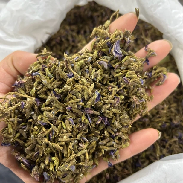 葛根花  洛阳大山里采集葛根花 农户晾晒500g包邮非山药