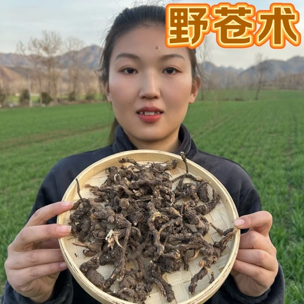 【苍术】秦岭大山里的苍术 茅苍术非种植 香味浓150g包邮另售山药