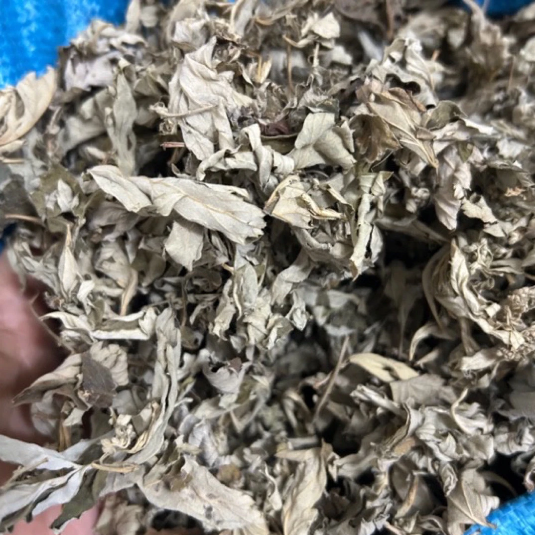 【艾叶】非种植大山里采的艾叶 正品艾叶 晒干的 500g包邮另售山药