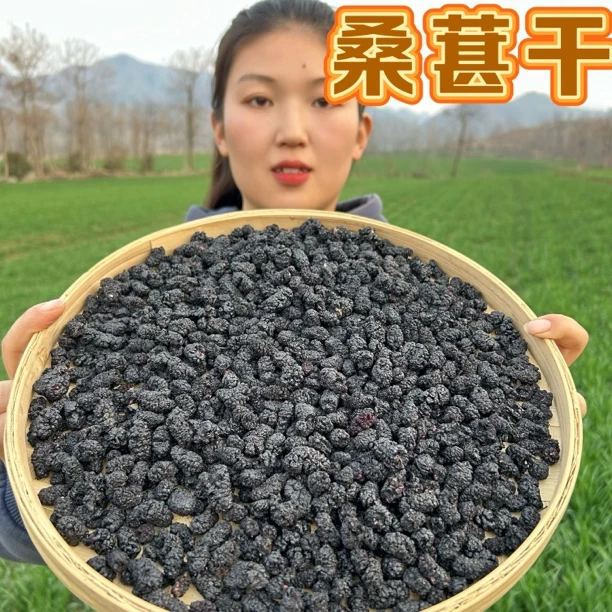 【桑葚干】河北桑葚干 干干净净桑葚果无硫 150g包邮 另售山药