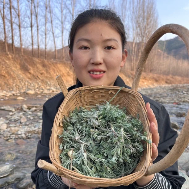 【茵陈】二月 河南农户 采摘 太阳晒干 50g包邮可搭配山药