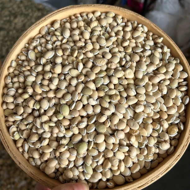 【白扁豆】河南种植无硫熏白扁豆 干净 250g包邮 另售山药