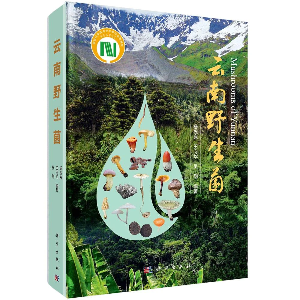 云南野生菌菌子/野生植物食用菌研究蘑菇科普食用菌书籍