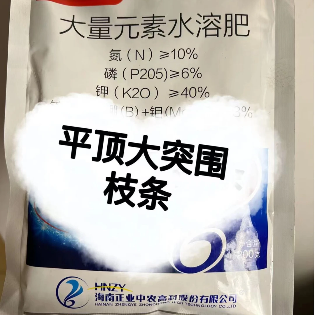 平顶大突围接穗20根枝条           叶面肥