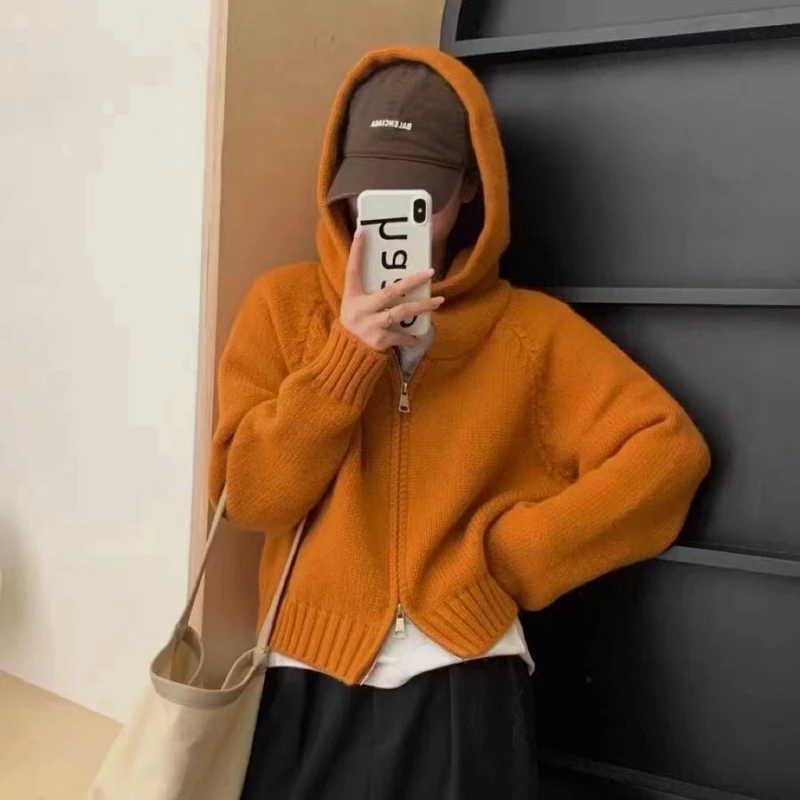 高质感针织卫衣女2024新款爆款小个子短款双拉链毛衣开衫外套秋冬