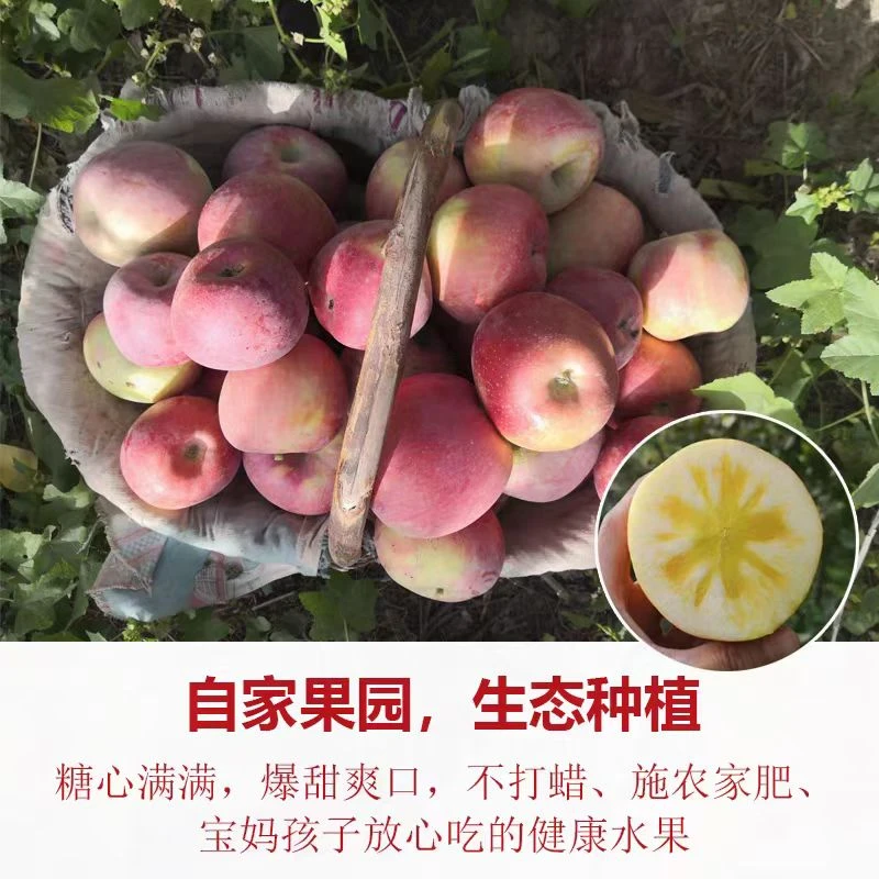 新疆阿克苏冰糖心苹果