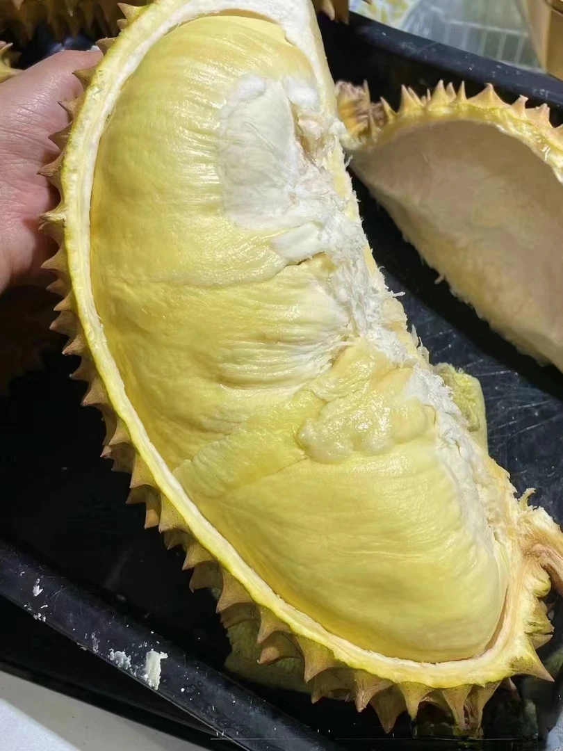 精选金枕榴莲1*（一物一拍）