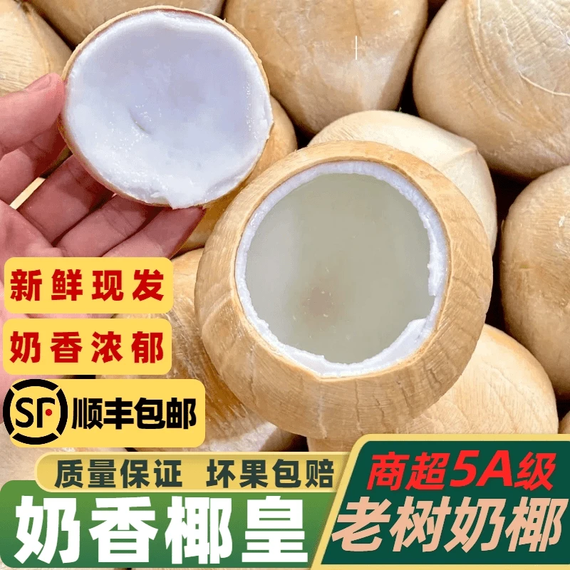 正宗泰国进口牛奶椰皇丹嫩沙多奶椰新鲜多汁清甜嫩滑当季水果顺丰