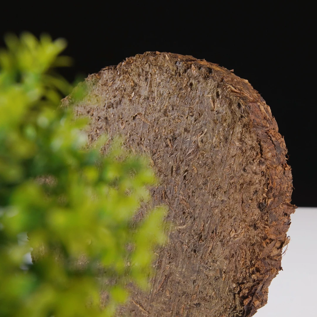 高马二溪 花卷 千两饼 老茶【2007年】安化黑茶 600克