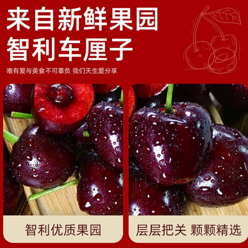 智利新鲜进口海运车厘子宾JD/2J级5斤装 内附果径卡