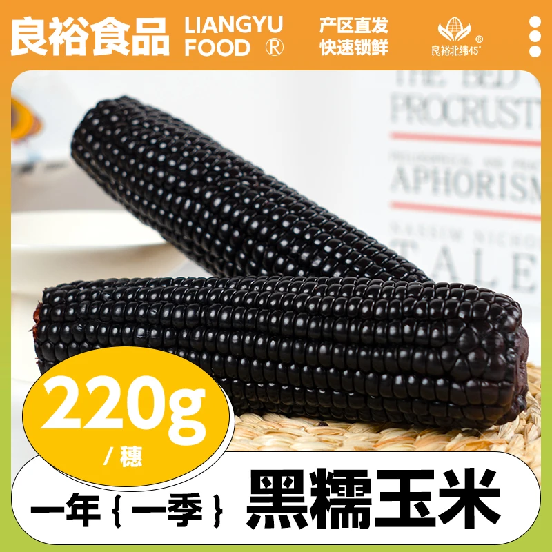 良裕北纬45°2024年优质黑糯玉米营养新鲜香糯鲜甜东北玉米