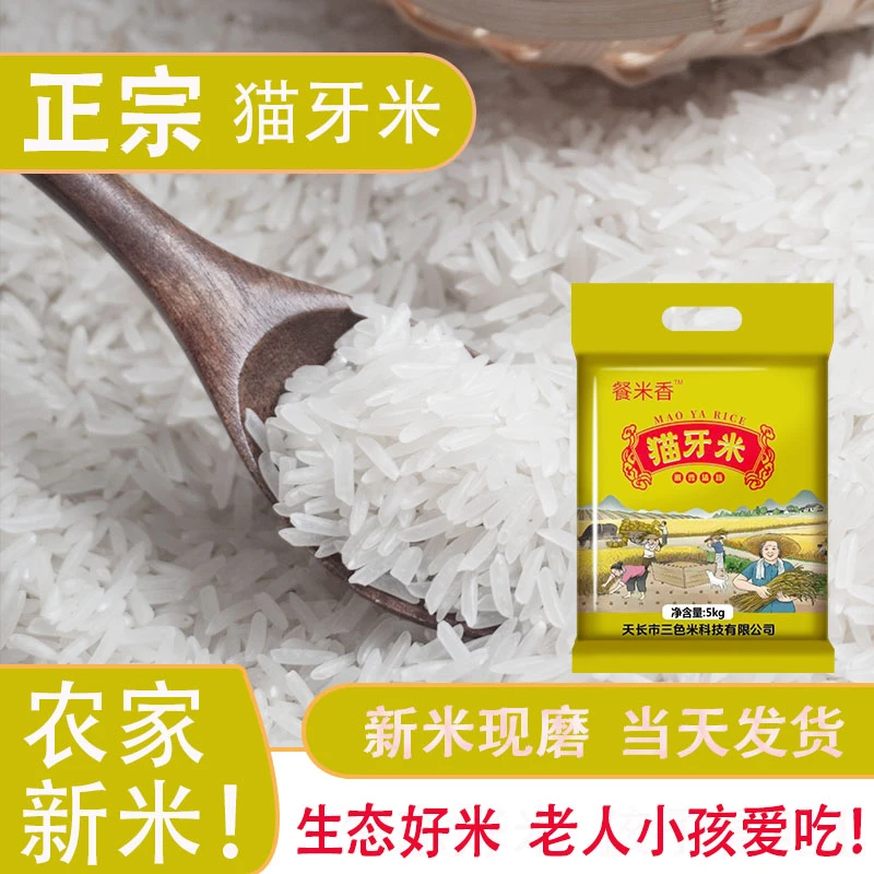 10斤新米 餐米香猫牙米(5-7毫米)优质长粒香南方籼米0农残软糯
