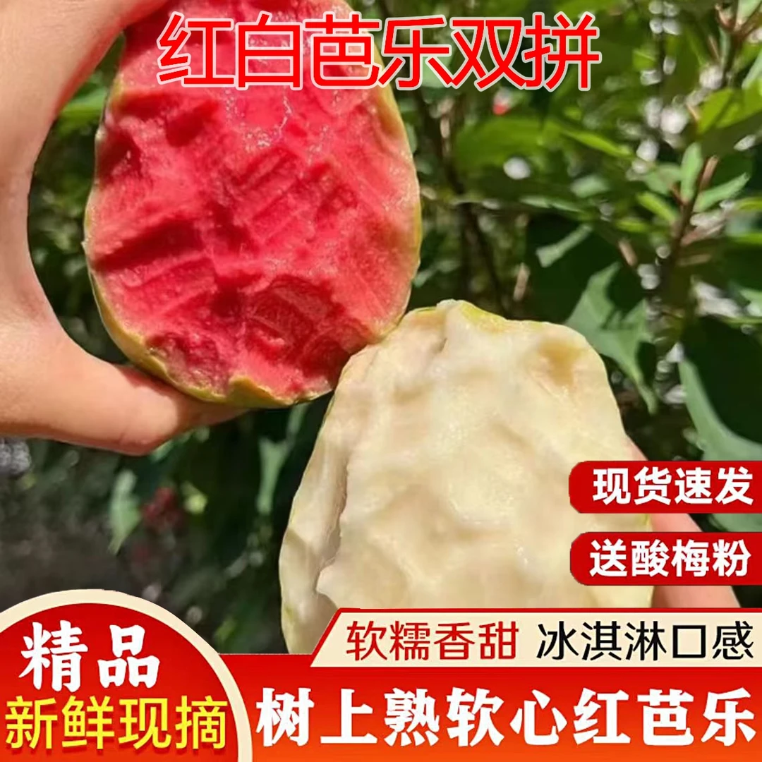 【红+白】香软大果广西软糯香甜软心芭乐番石榴新鲜水果混合装3/5斤