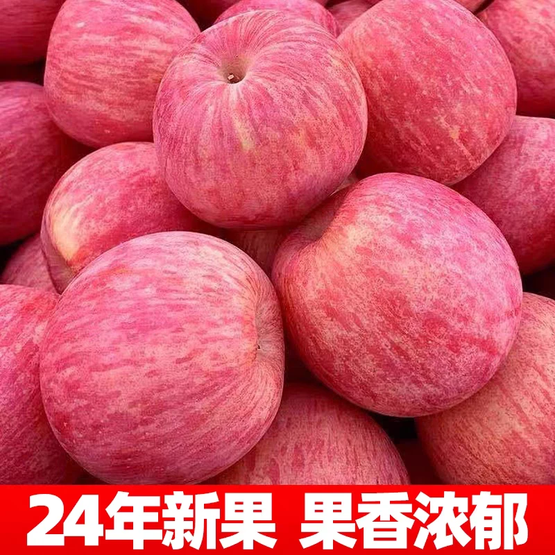 新鲜当季红富士苹果甜脆03