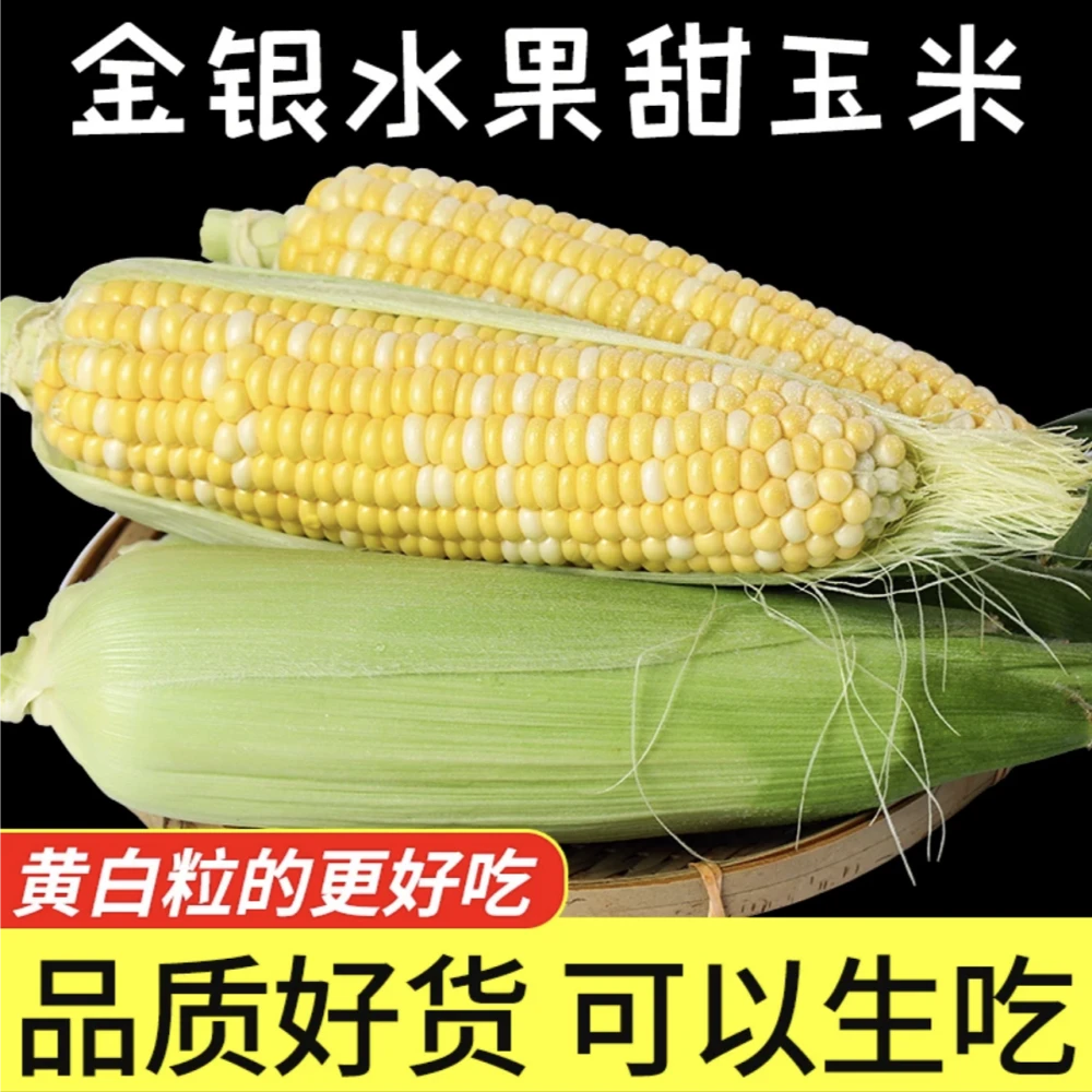 XD【鲜达果园】云南水果玉米产地现摘现发5斤8斤香甜脆嫩鲜玉米