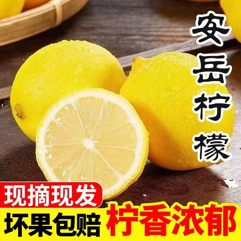 正宗安岳柠檬6个单果60-90g酸爽多汁皮薄小果夏日优选