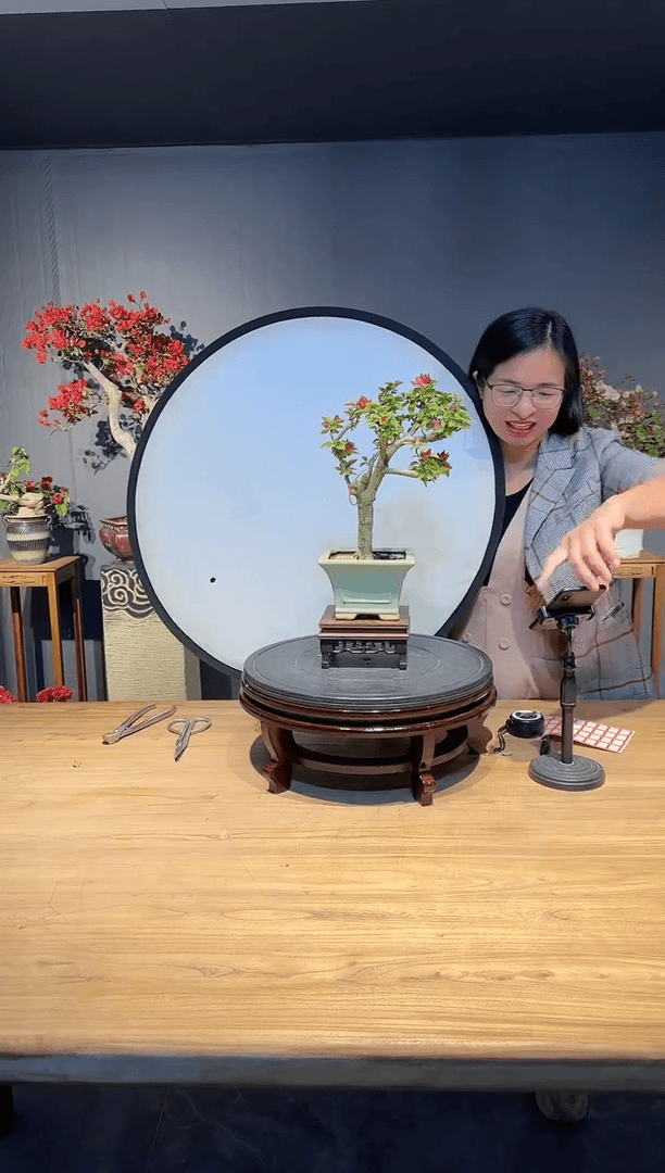 【闪购商品】易水寒  小桃红