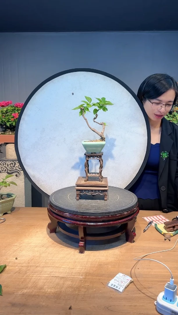 【闪购商品】云上云  同安红