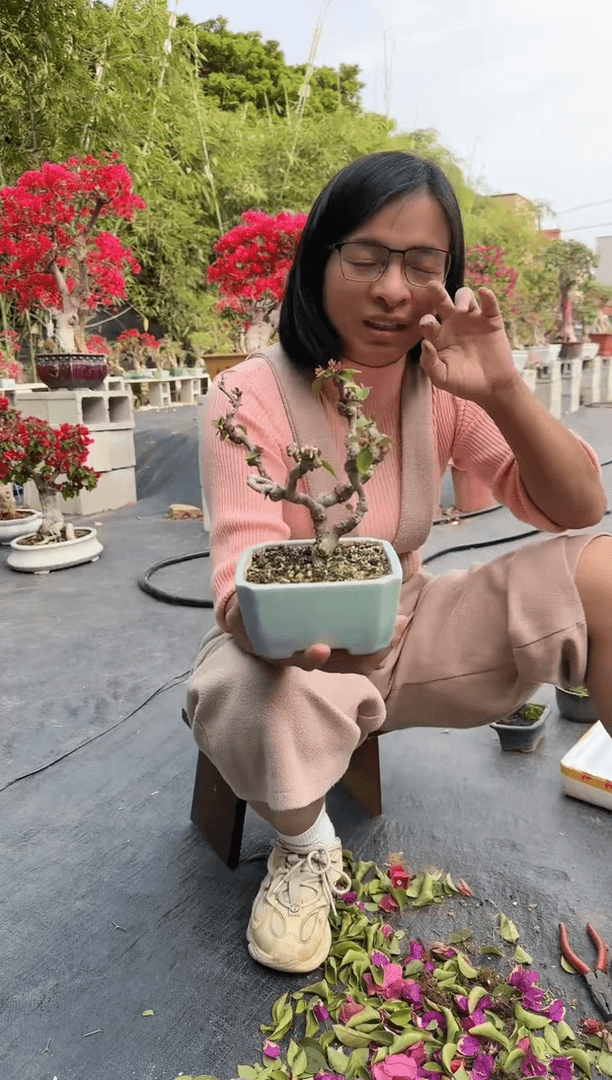 【闪购商品】乐呵呵  同安红