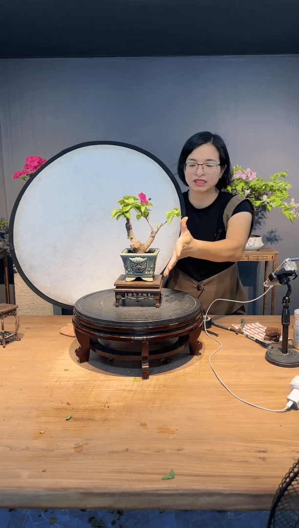 【闪购商品】文刀刘  同安红
