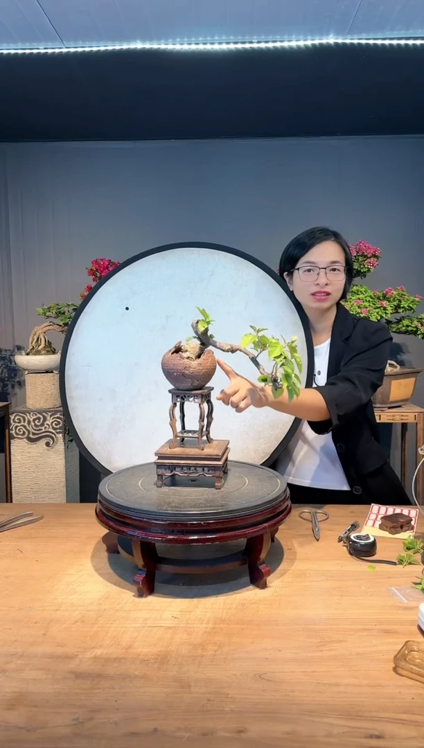 【闪购商品】玉  同安红