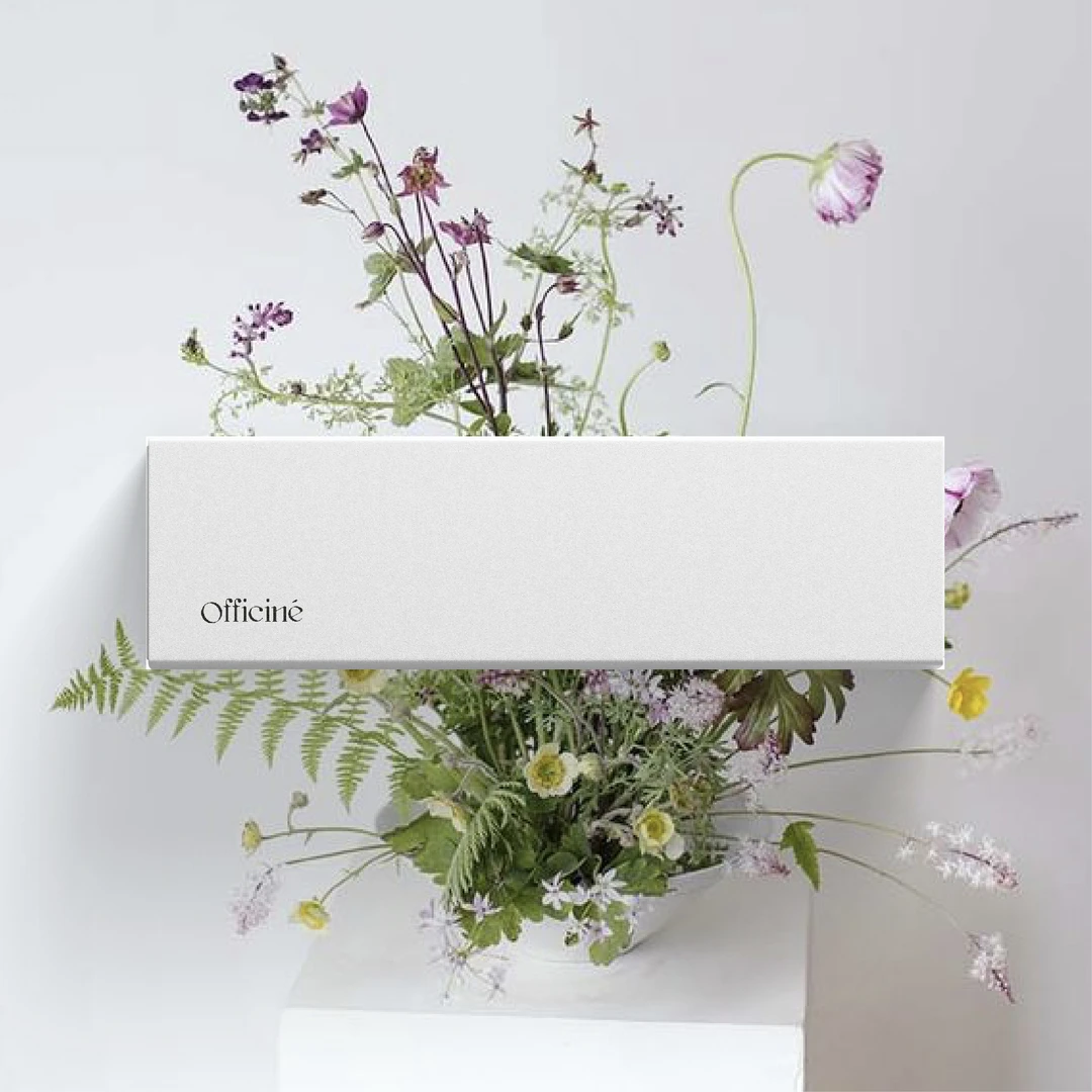 【今日福利】Officine美日花市鲜切花顺丰空运