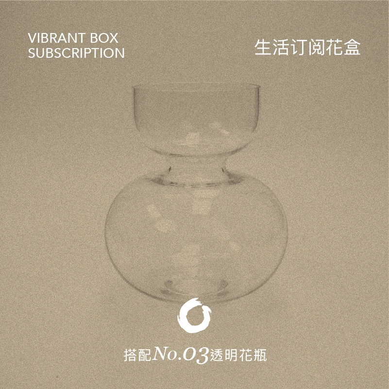 O集设计师定制透明玻璃花瓶简约实用水培水养家用插花 NO.03