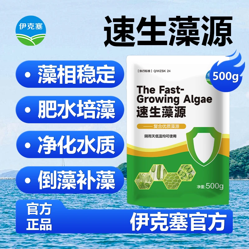 速生藻源水产养殖浓缩藻种小球藻硅藻复合型藻种鱼虾蟹塘肥水调水